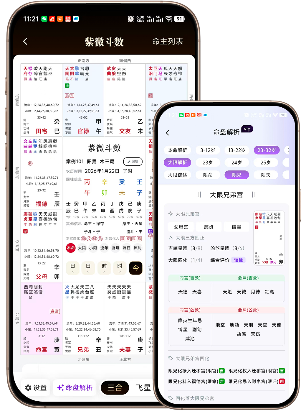 借问紫微斗数命盘与解析界面