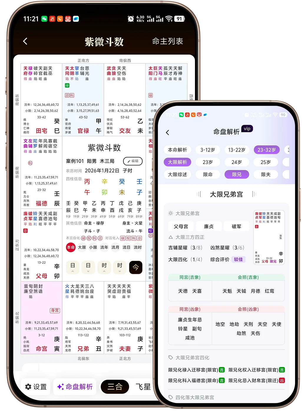 紫微斗数命盘与命盘解析界面